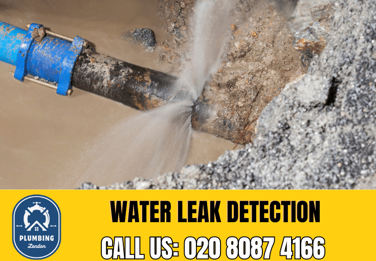 leak detection Harrow